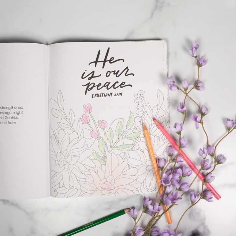 Scriptures and Florals Coloring Book by Allison Loveall