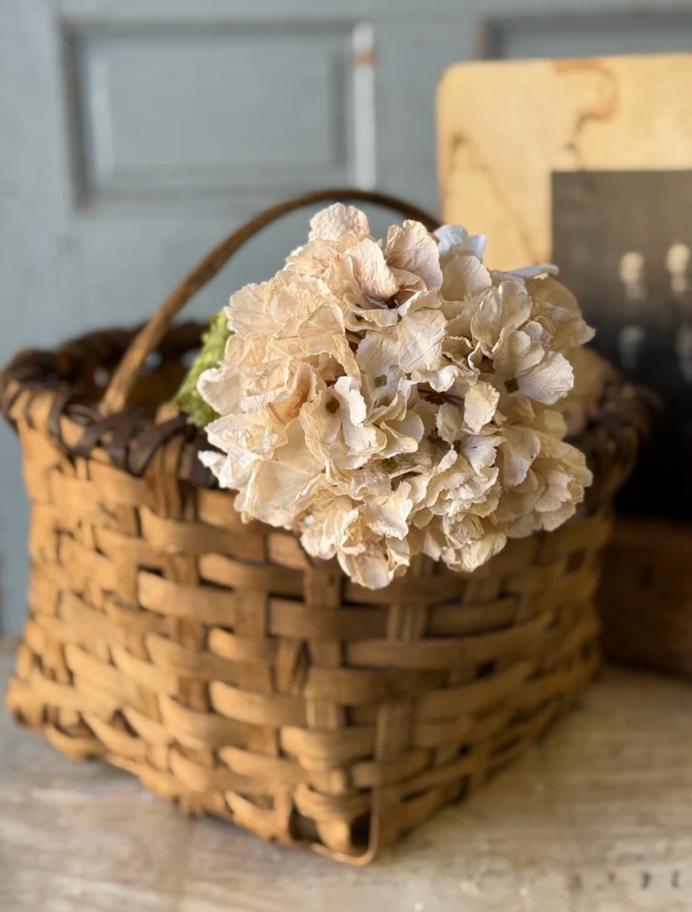 Revival Hydrangea | 20" | Lace