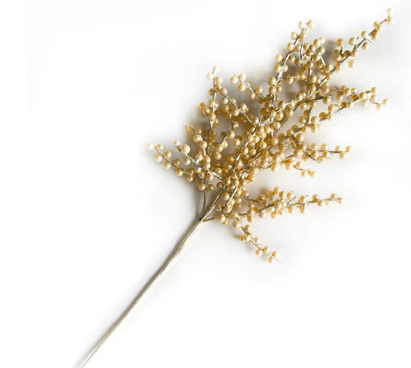 PEARL BRANCH