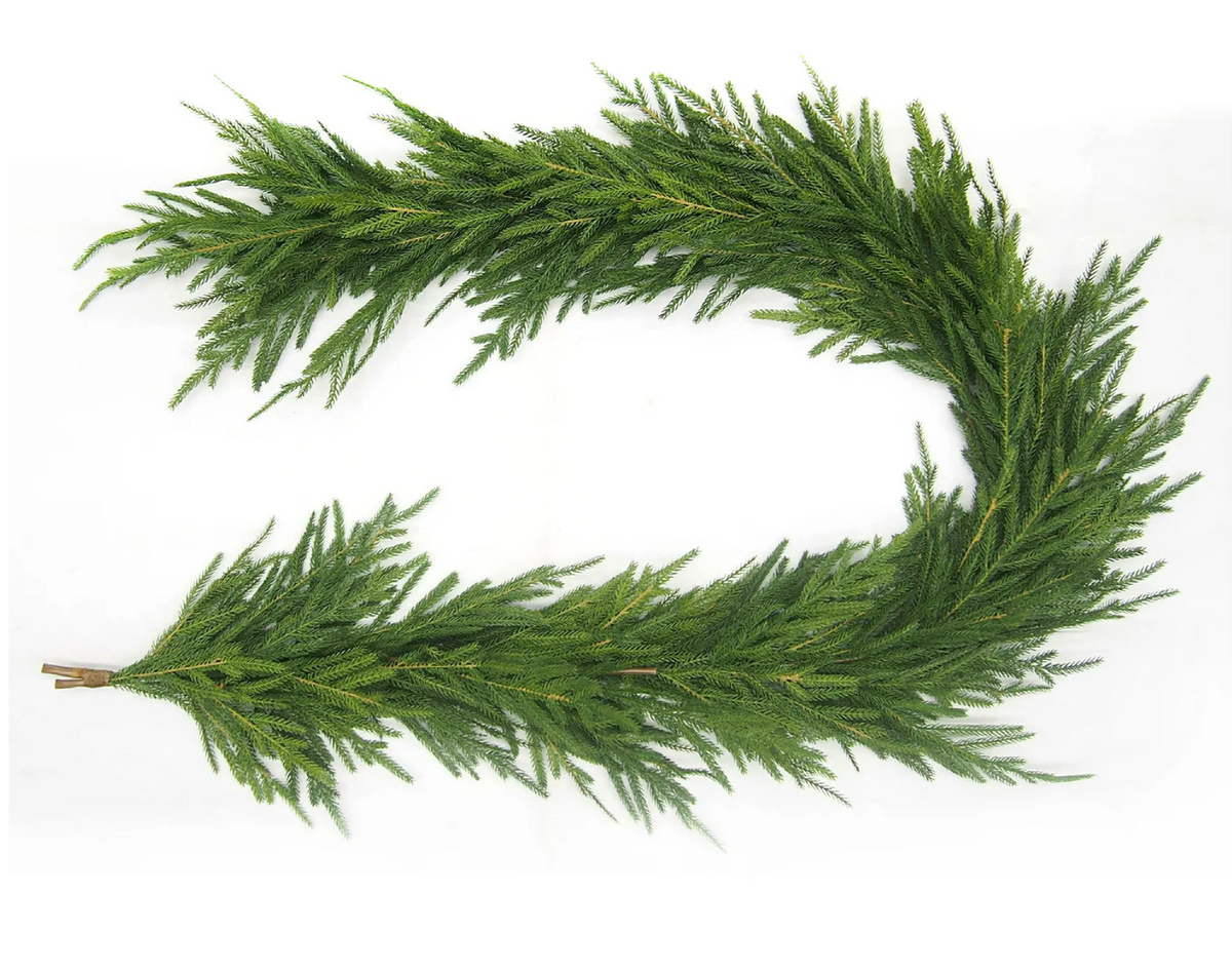 NORWAY SPRUCE GARLAND
