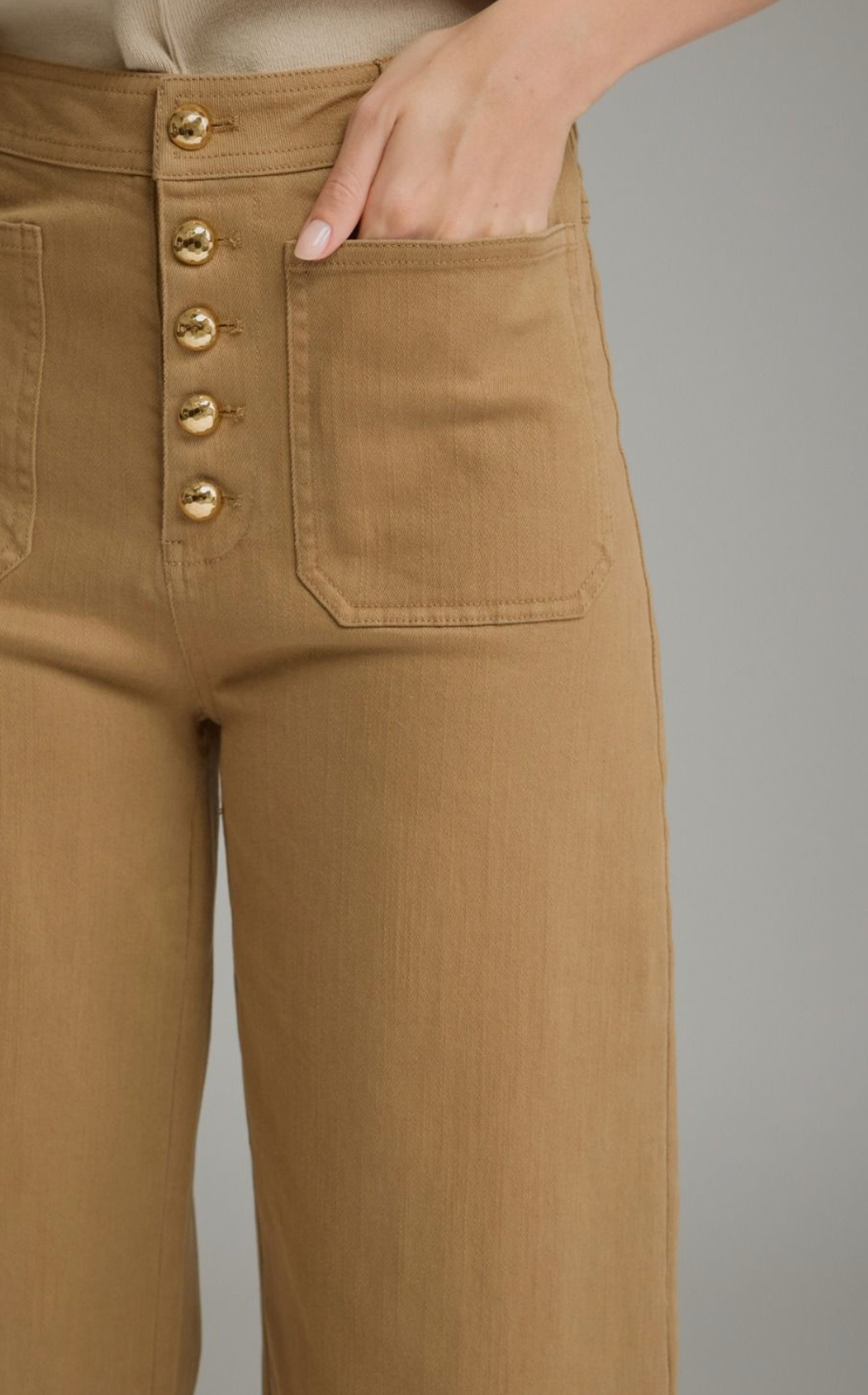The Hollis Button Front Pants