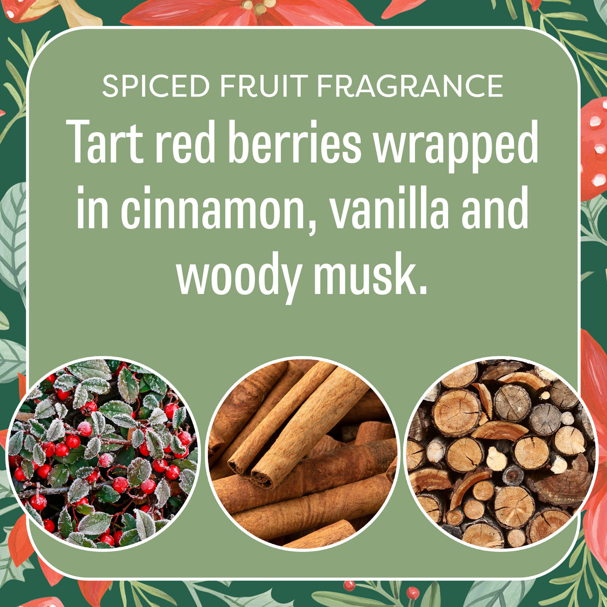 Fresh Scents | Peace on Earth Sachet