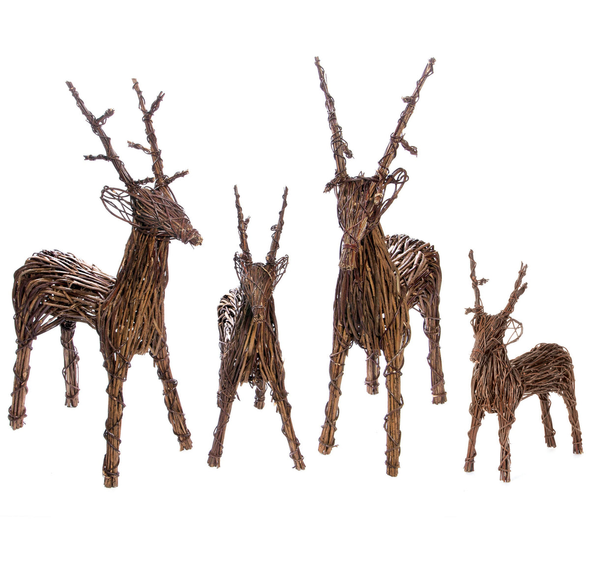 Vine Reindeer