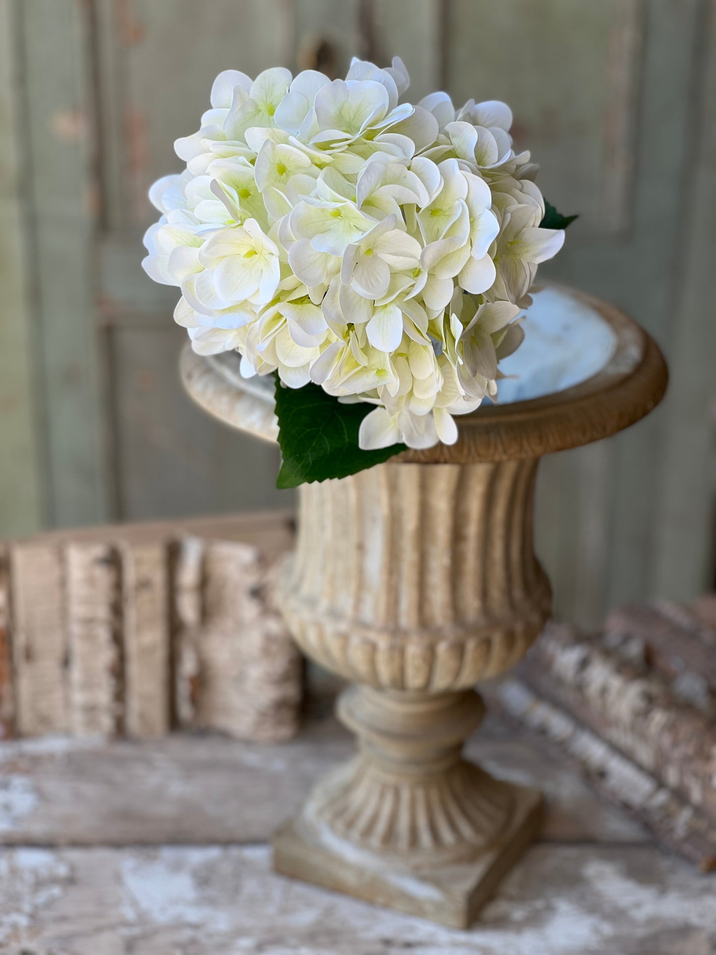 Cameo Hydrangea | 22"