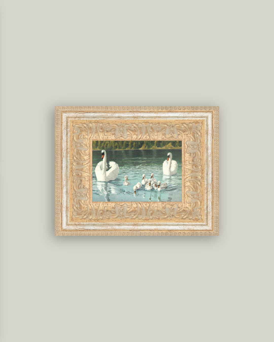 Swan Family 9x7