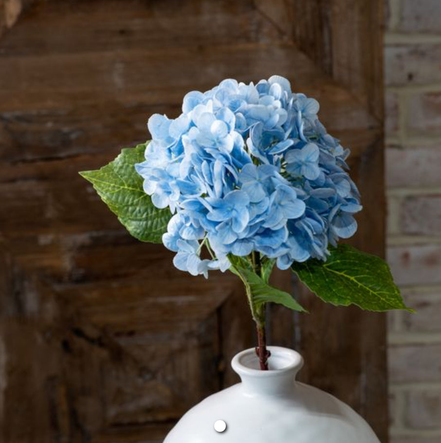 Blue Hydrangea Stem Inner