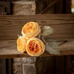Buttercream English Garden Rose Bouquet