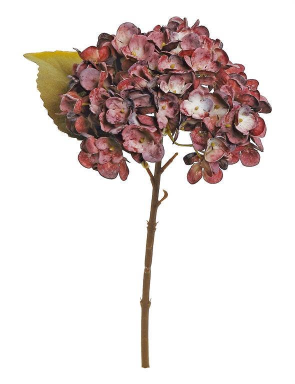 Dried Hydrangea Cutting, 13", Burgundy