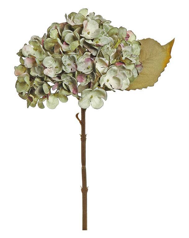 Dried Hydrangea Cutting, 13", Sage/Plum