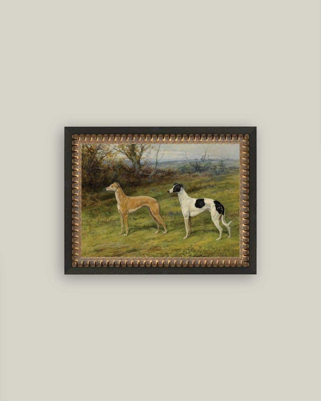 Greyhound Whippet Dogs: 7x5