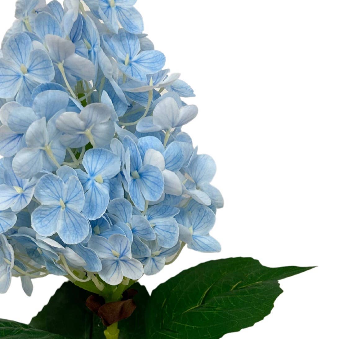 Fresh Touch Cone Hydrangea Stem - Blue - 29”