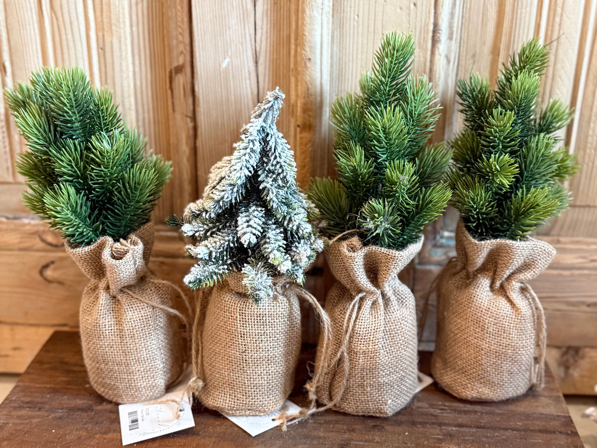 SET OF 4- Tree in Burlap