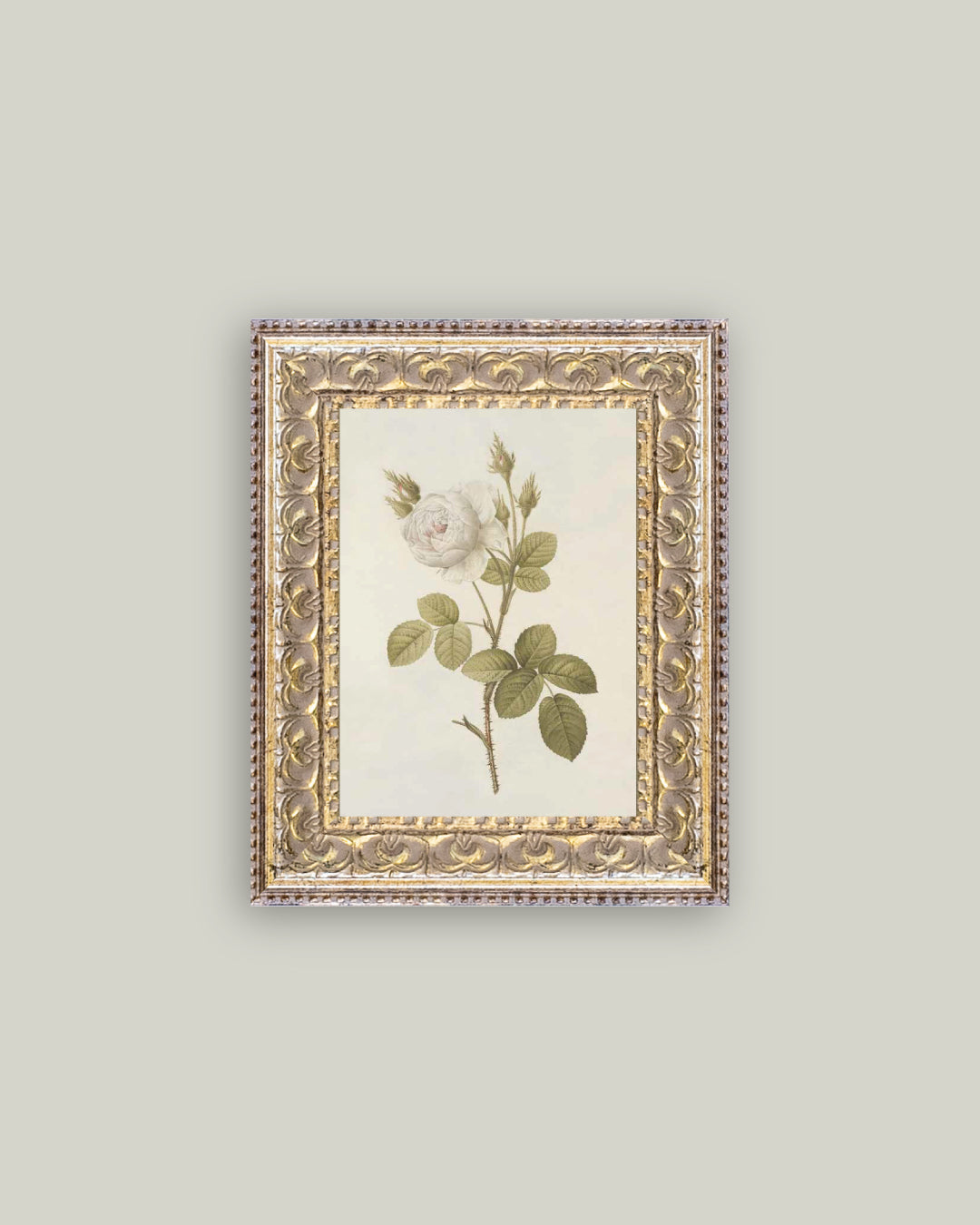 Misty Rose Fancy Gold
