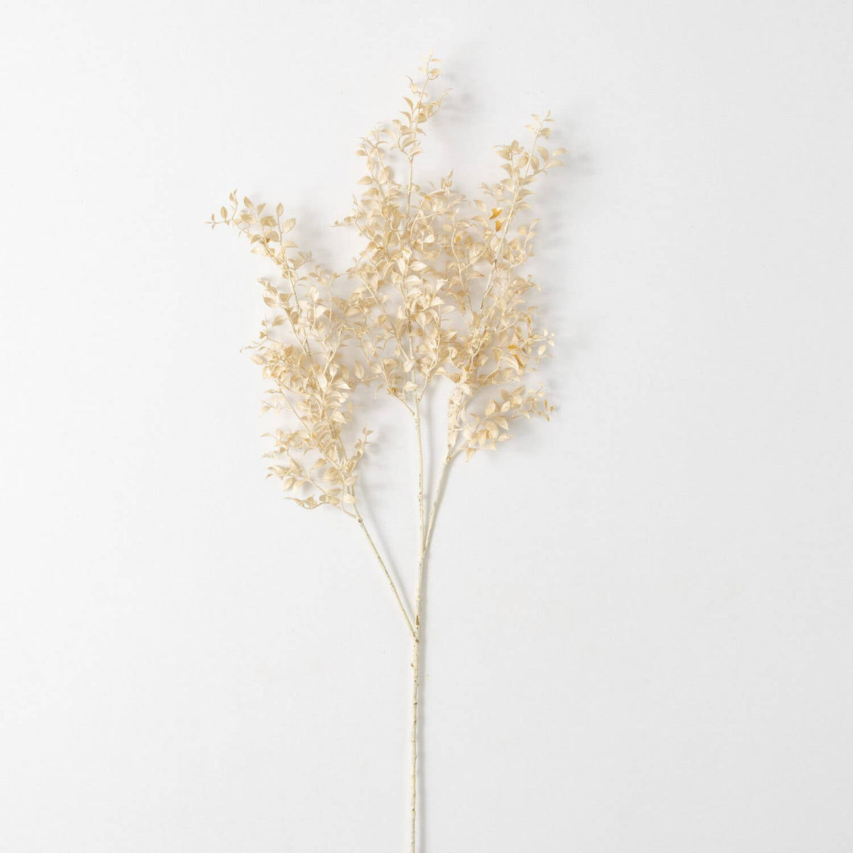 Smilax Spray