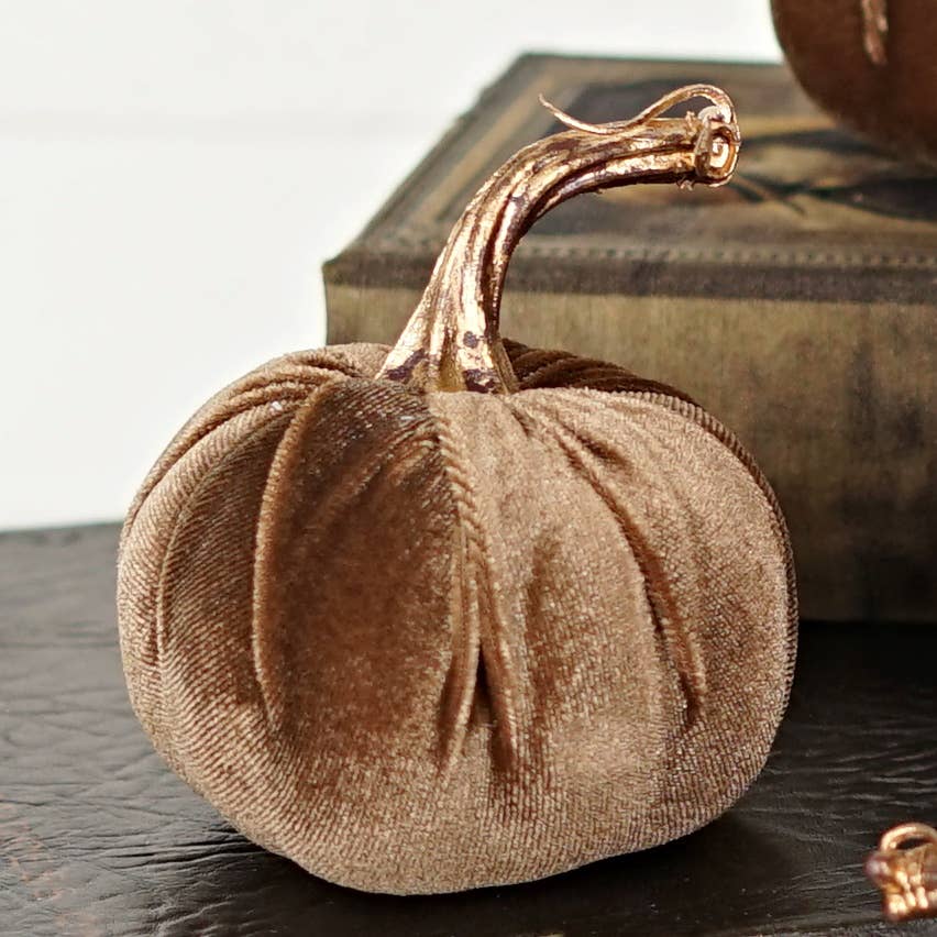 4in Velvet Pumpkin w.Golden Stem- Latte