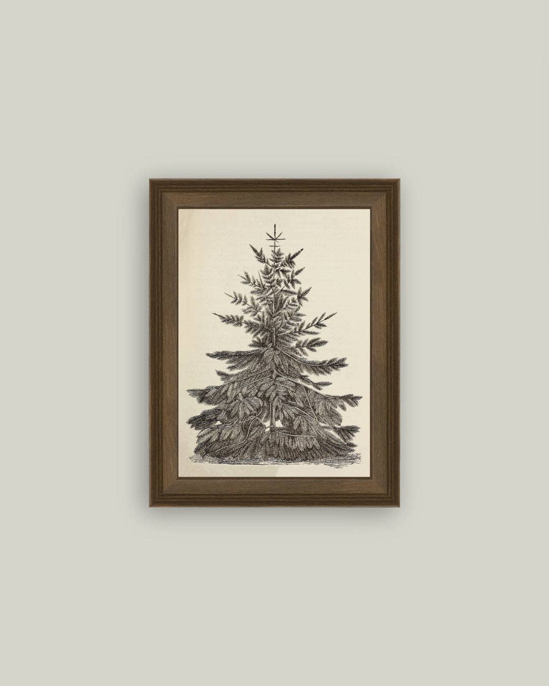 Vintage Pine Tree Framed Antique Art | 5x7