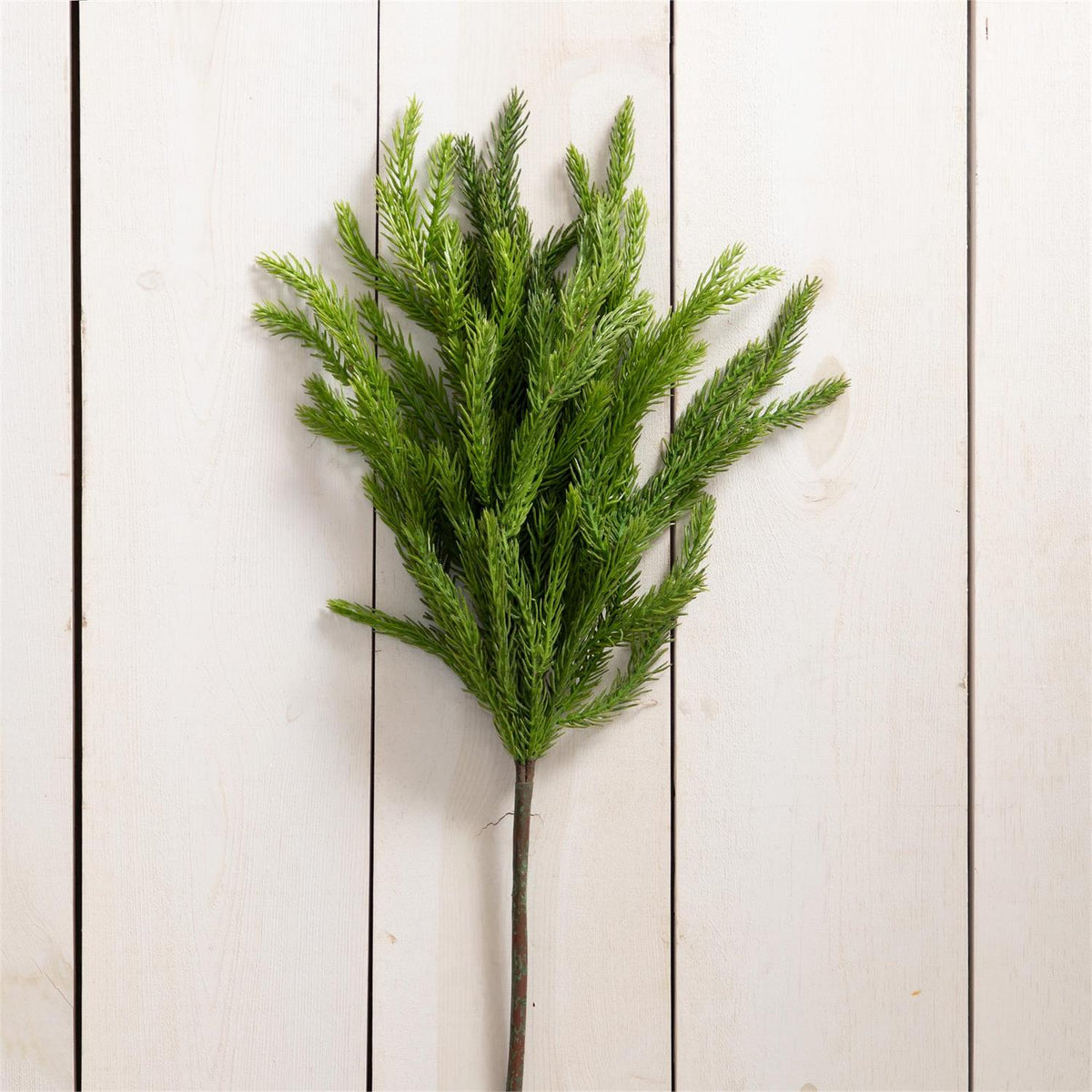Norfolk Pine Real Feel- Pick 20"