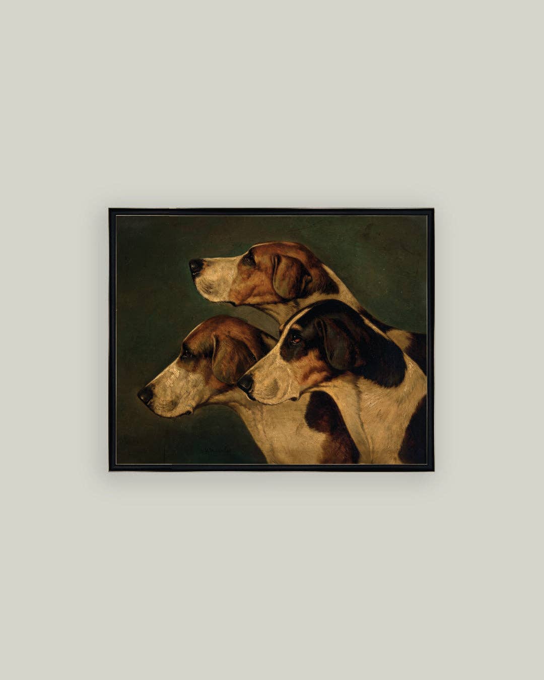 Three English Foxhounds: 7x5