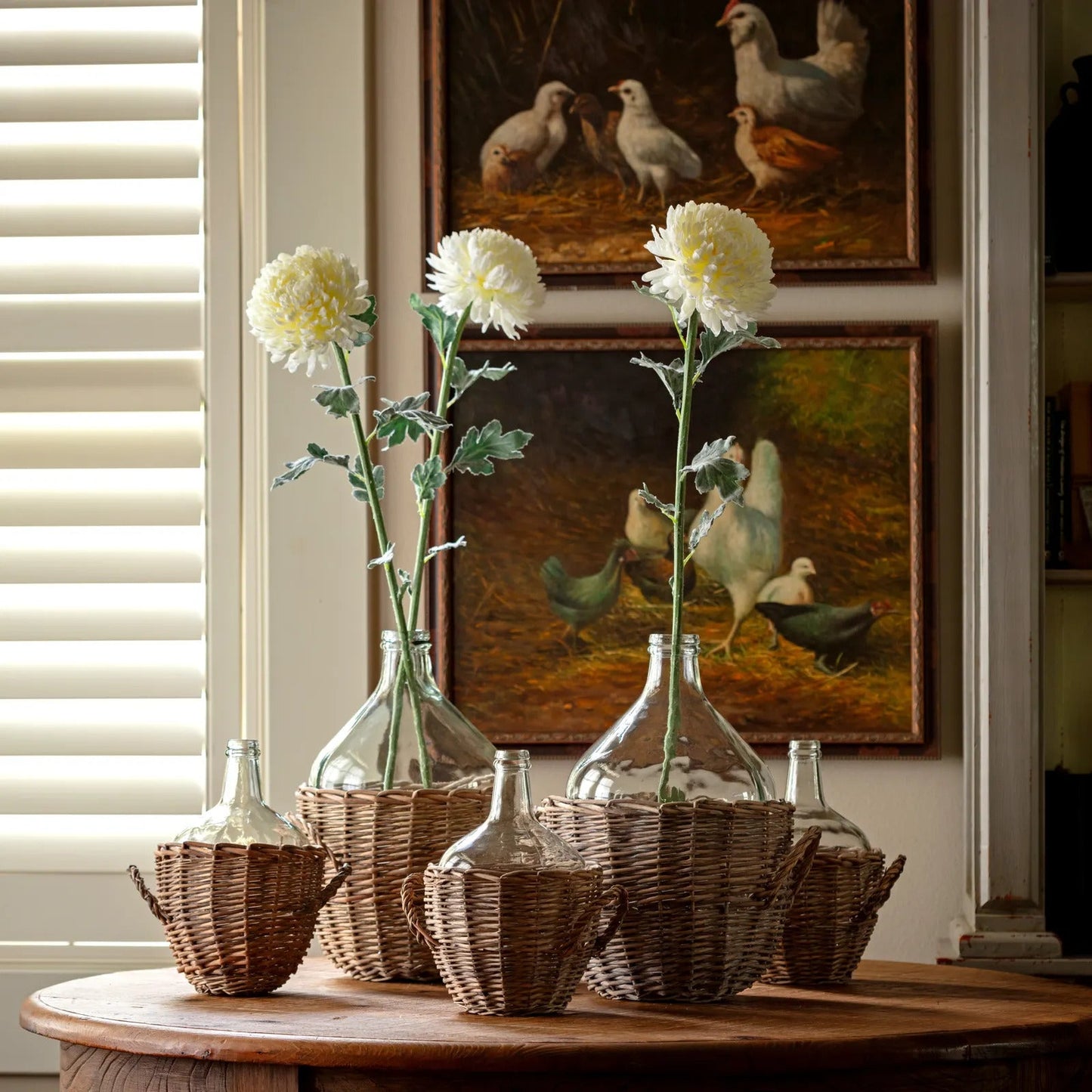 Football Chrysanthemum-White