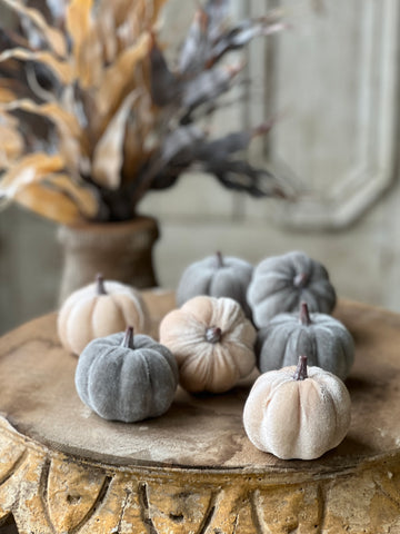 Velveteen Pumpkins 7 pcs