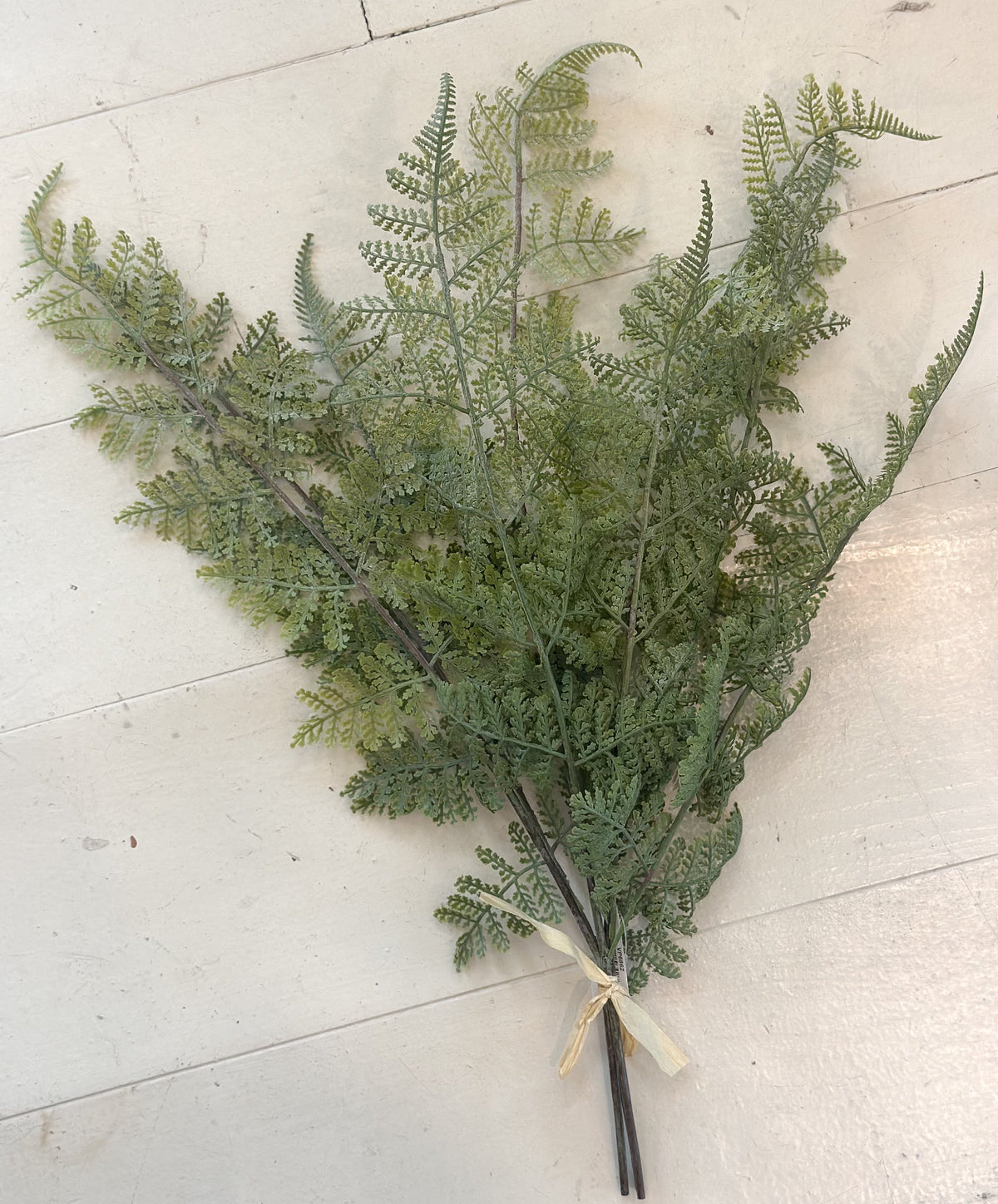 20" Longacre Fern Bundle/Laceleaf