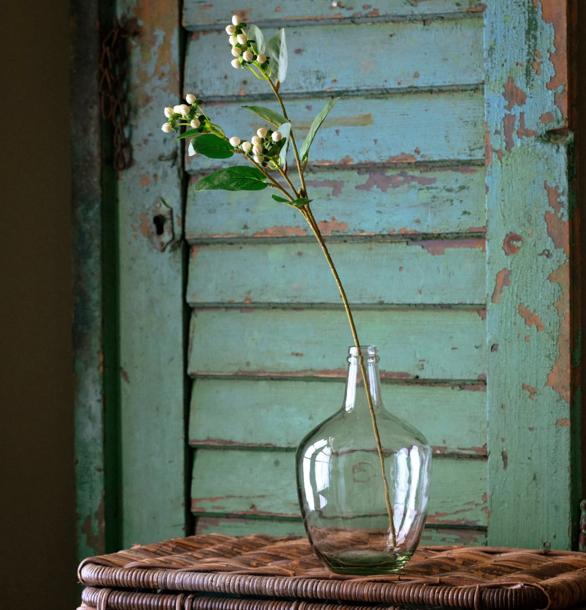 White Hypericum Berry Stem