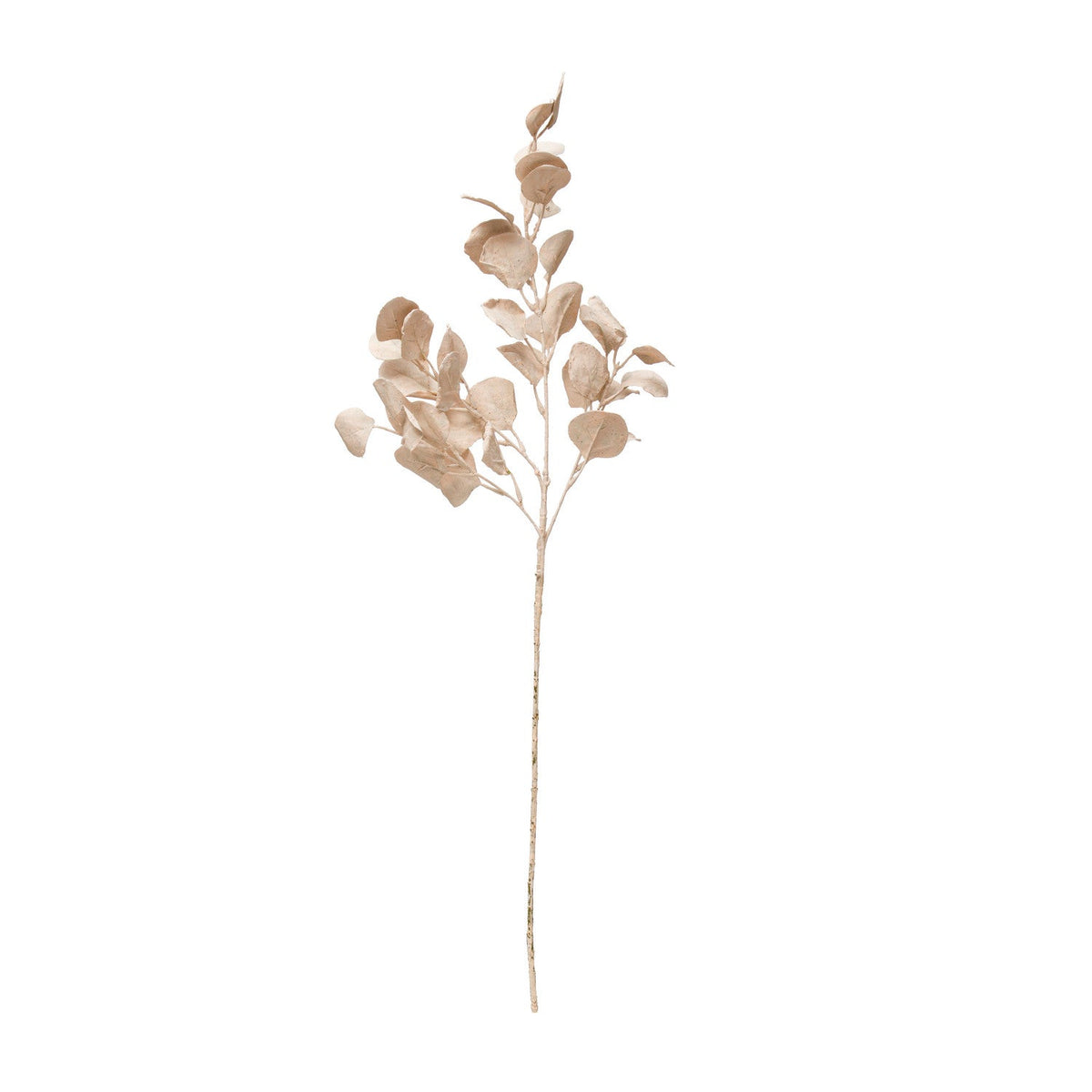 33"H Painted Eucalyptus Leaf Pick, Putty Color