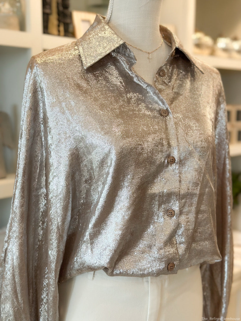 Voluminous Metallic Sleeve Blouse