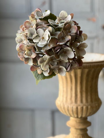 Felicity Hydrangea 18.5"