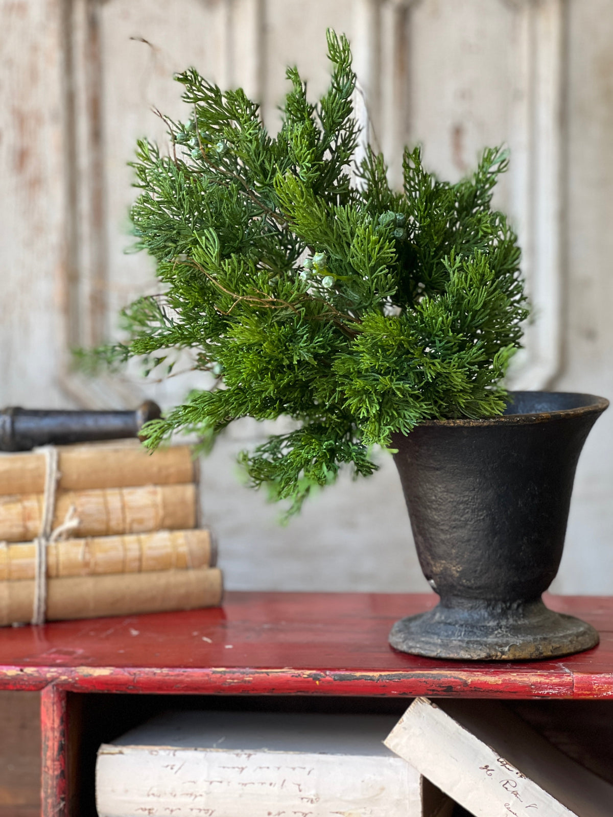Dripping Cedar Bush | 17"