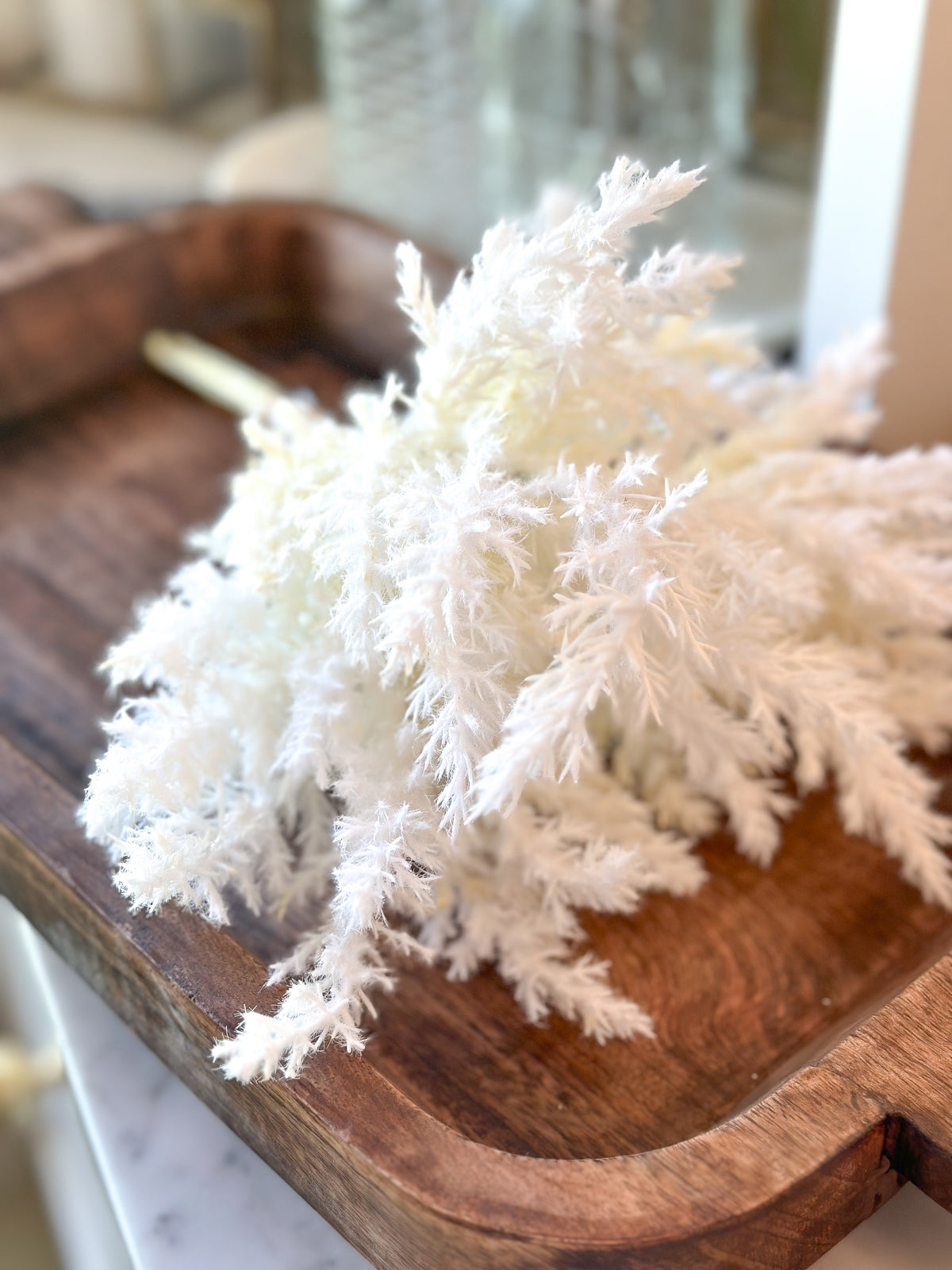 Branch Pampas Plumes, Natural