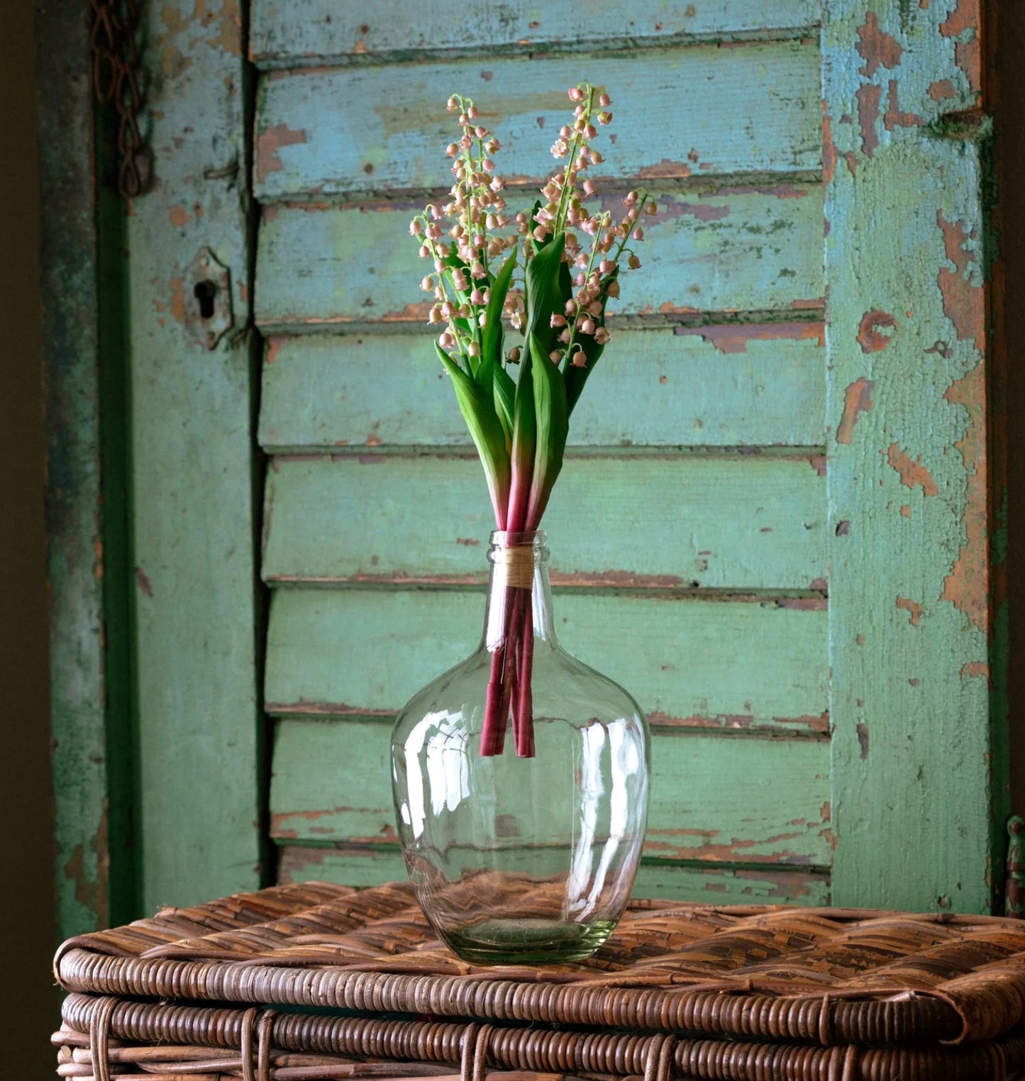 Grand Antique Lily of the Valley