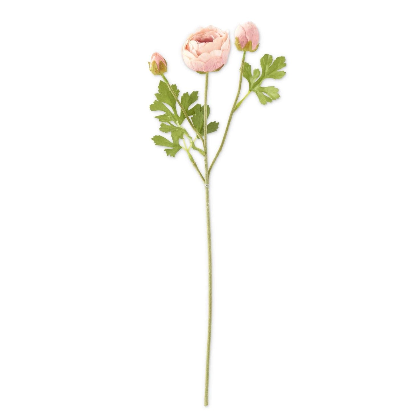 21 Inch Light Pink Real Touch 3 Head Ranunculus Stem