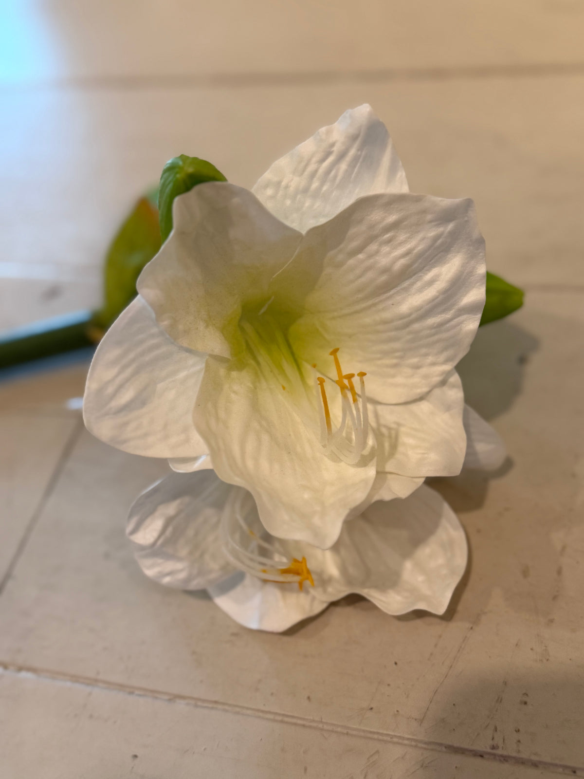 White Garden Amaryllis Stem – 29"