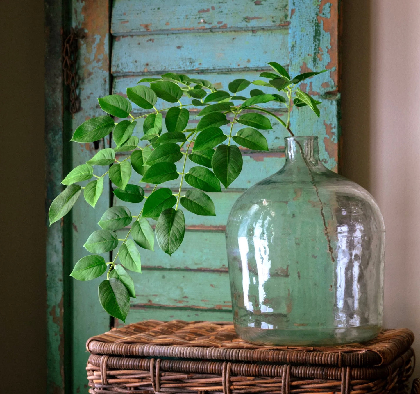 Arabica Leaf Natural Touch Green