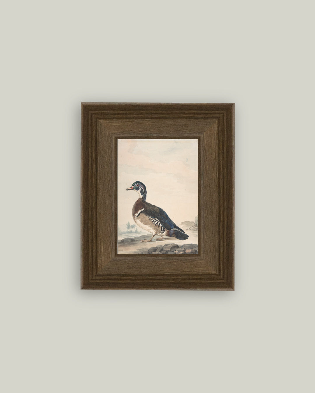 A Duck Charcoal Brown