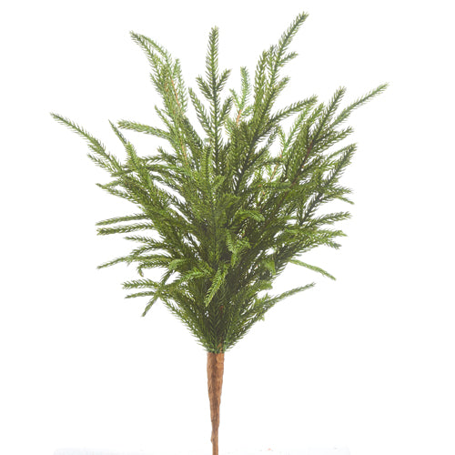 18" Soft touch Norfolk Pine Pick