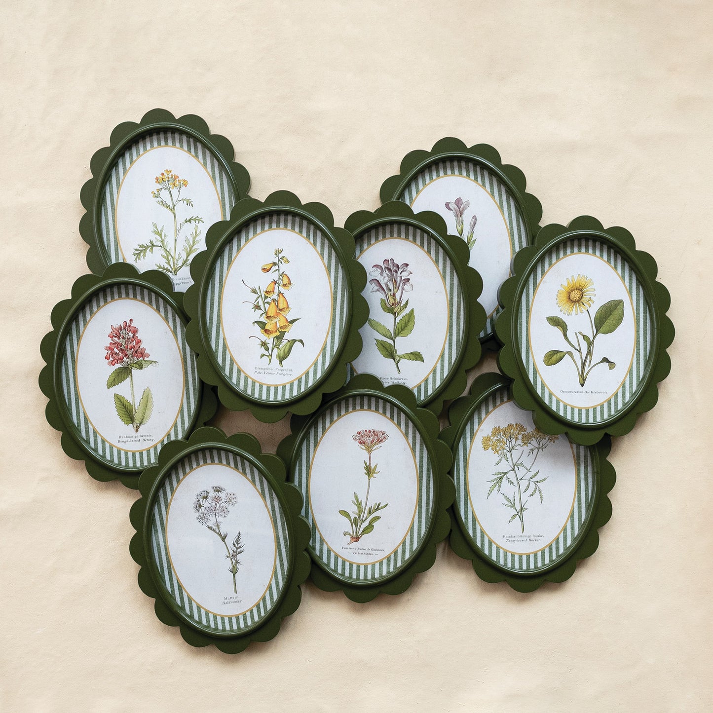 Oval Framed Glass Scalloped Wall Decor with Flower & Striped Mat, 9 Styles