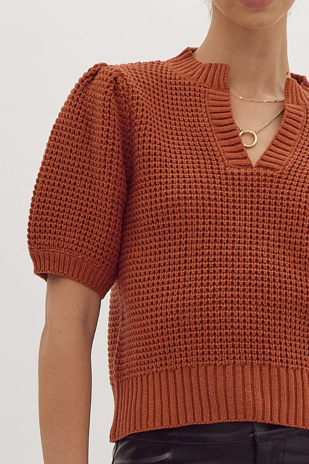 Solid V-Neck Rust Short Sleeve Textured Sweater