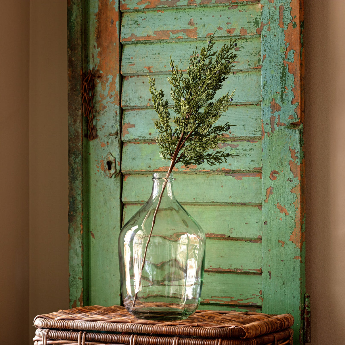 Juniper Stem | 28"