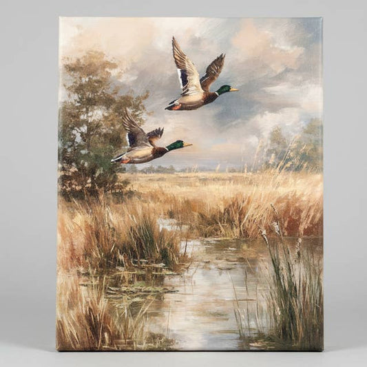 Mallard duck canvas art print