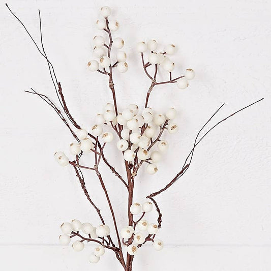 White snowberries with wispy twigs 19'