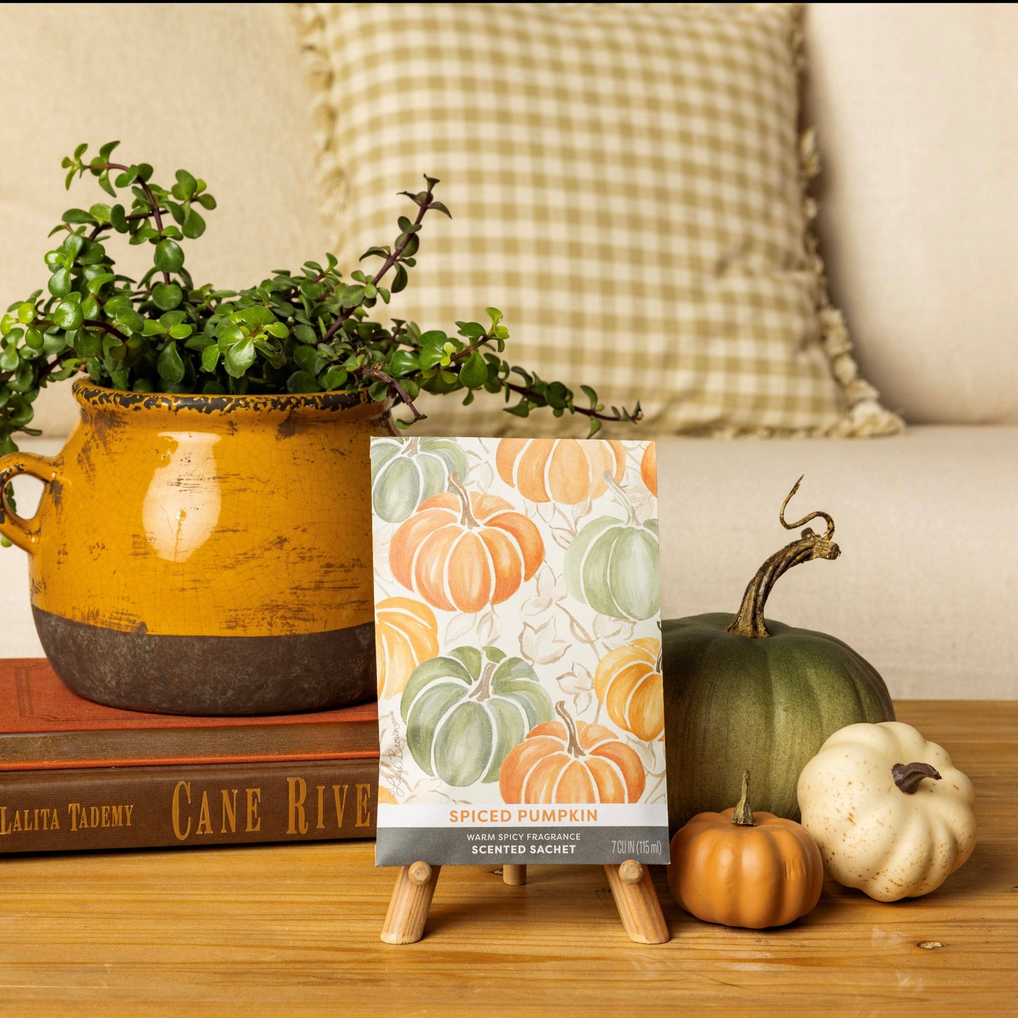 Spiced Pumpkin Sachets | Fall, Halloween