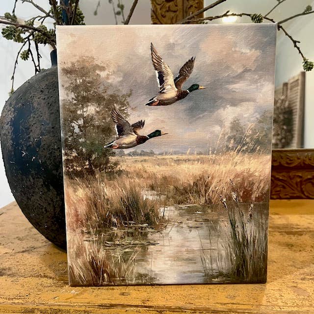 Mallard duck canvas art print