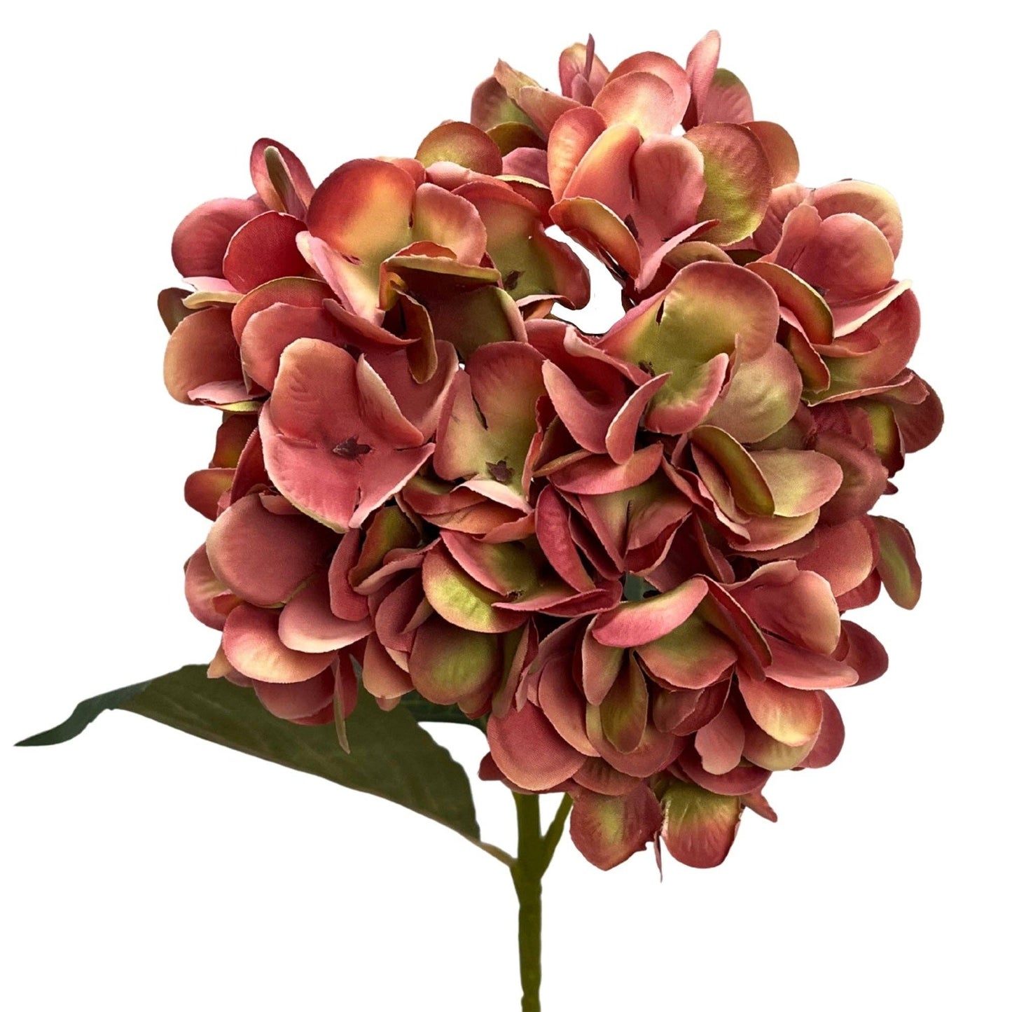 Harmony Hydrangea Stem 24" - Moody Mauve