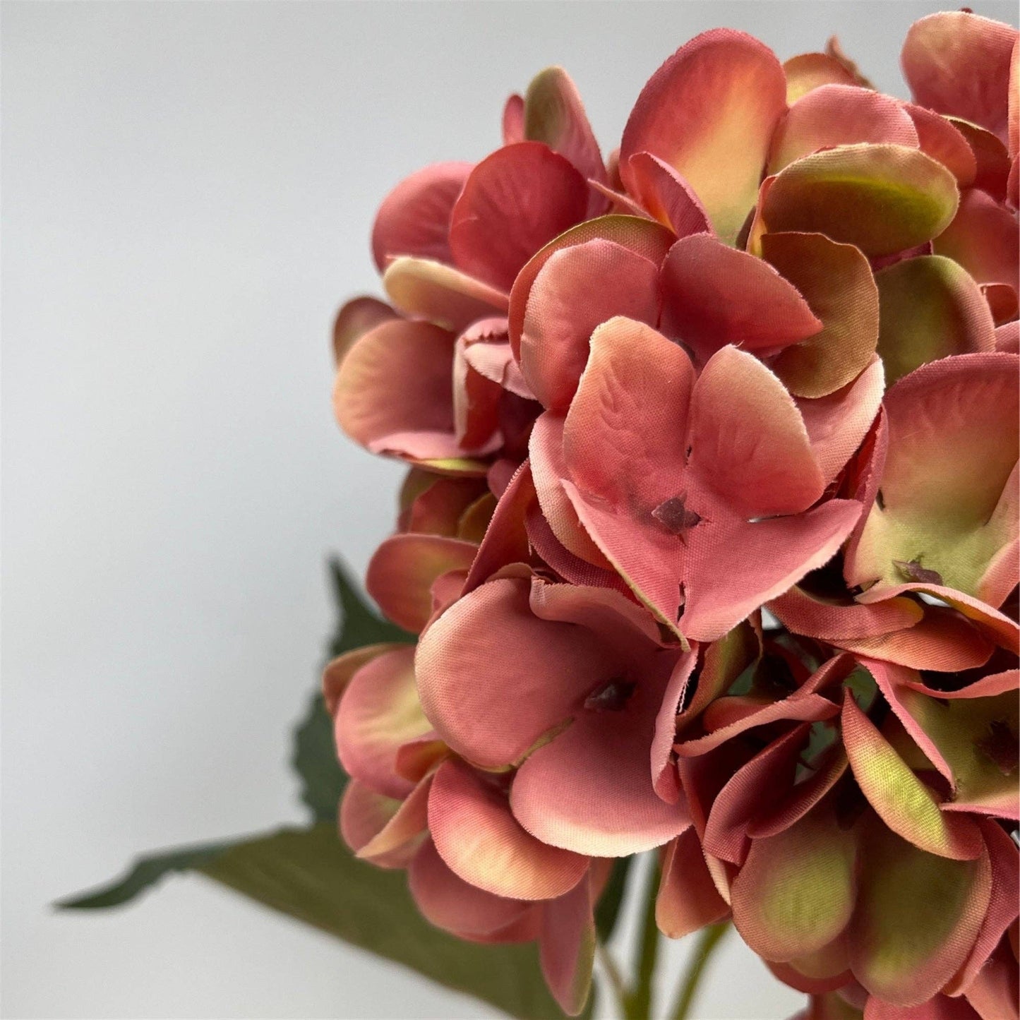 Harmony Hydrangea Stem 24" - Moody Mauve