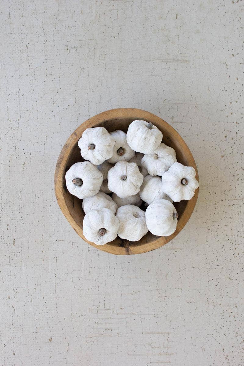 BAG OF FIFTEEN DRIED MINIATURE FAUX PUMPKINS - WHITE