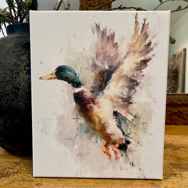 Mallard duck canvas art
