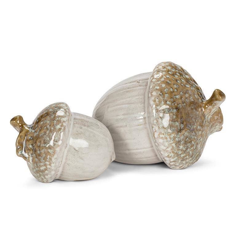 Small Acorn
