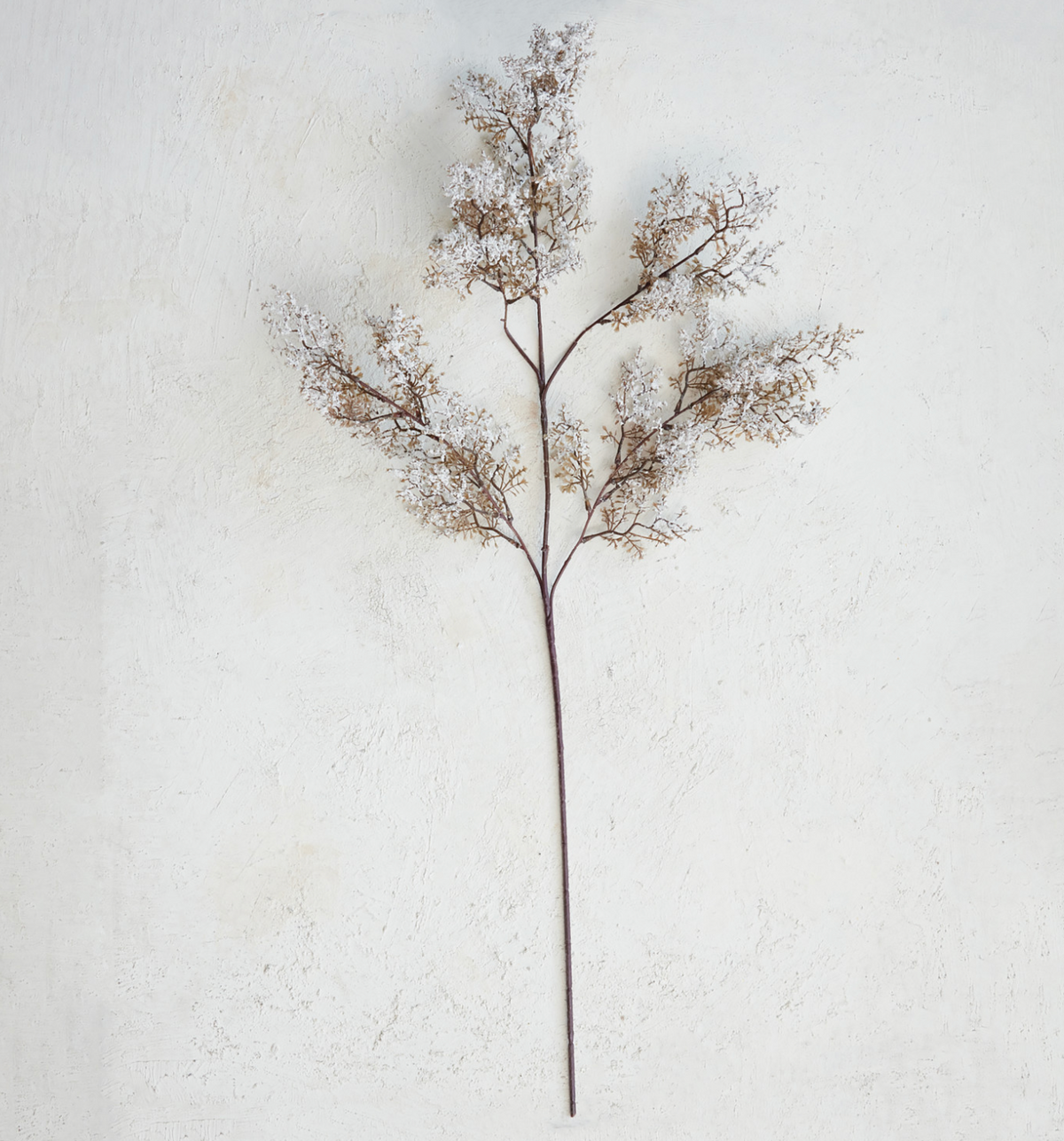 Juniper Branch, Brown & Snow Finish